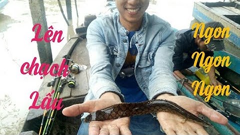 Câu cá Sông Hậu Cần Thơ.Cảng Cái Cui lên chạch Lấu, cá Diếc ... Video 20