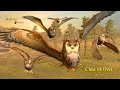 Clan of Owl - By Wild Foot Games - Adventure - Google Play(Super HD Quality)