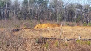 Pumpkin meets Tannerite