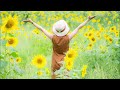 八代亜紀 ひまわりワルツ