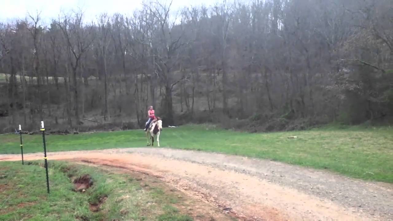 Horseback Riding at a Fast Lope With a Flying Lead Change YouTube