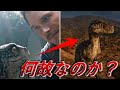 【ジュラシックワールド】ブルーがオーウェンの元を去った理由が悲し過ぎる【ジュラシックパーク】
