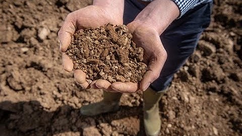 Monitor Farm Monday: Digging up the dirt on the AHDB soil health scorecard: