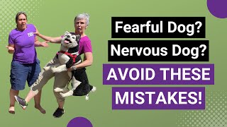 Help Your Anxious Dog by AVOIDING these 3 MISTAKES! by Everything Dog 1,421 views 3 years ago 4 minutes, 38 seconds