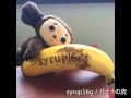 【syrup16g】 バナナの皮