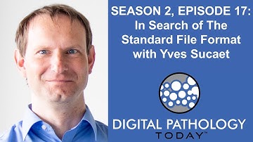 In Search of The Standard File Format with Yves Sucaet