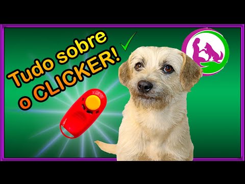 Vídeo: O treinamento com clicker funciona para latir?