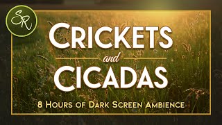 Crickets &amp; Cicadas Chirping- Ambient Sounds for Deep Sleep &amp; Relaxation - Dark Screen Sleep 8 Hours