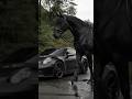 Every mens dream life with their black cars horse legacy black collection with dream to reality