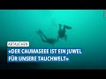 Archivperle: Abtauchen im Phänomen Caumasee