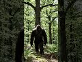 Bigfoot in the oak trees