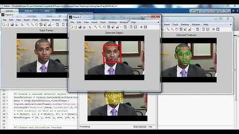 A Contour based Procedure for Face Detection and Tracking from Video