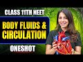 Body Fluids & Circulation in ONE SHOT | All Concept & PYQ | Basic to Advance | Class 11 NEET