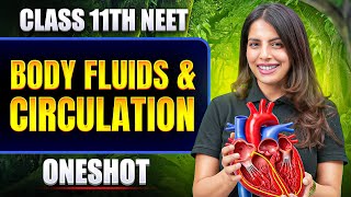 Body Fluids & Circulation in ONE SHOT | All Concept & PYQ | Basic to Advance | Class 11 NEET