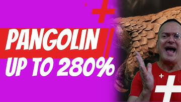 Watch my Pangolin on Avalanche Network review! (high risk) 🧐