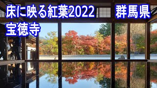 桐生市 宝徳寺（床に反射する紅葉）