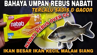 TERLALU BAHAYA ‼️ NABATI KEJU KALO DI REBUS IKAN JADI RAKUS ✓✓ RACIK UMPAN IKAN MAS