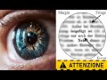 Questo Video Non È Reale Finché Non Lo Guardi (Attenzione E Riconoscimento Dei Pattern)