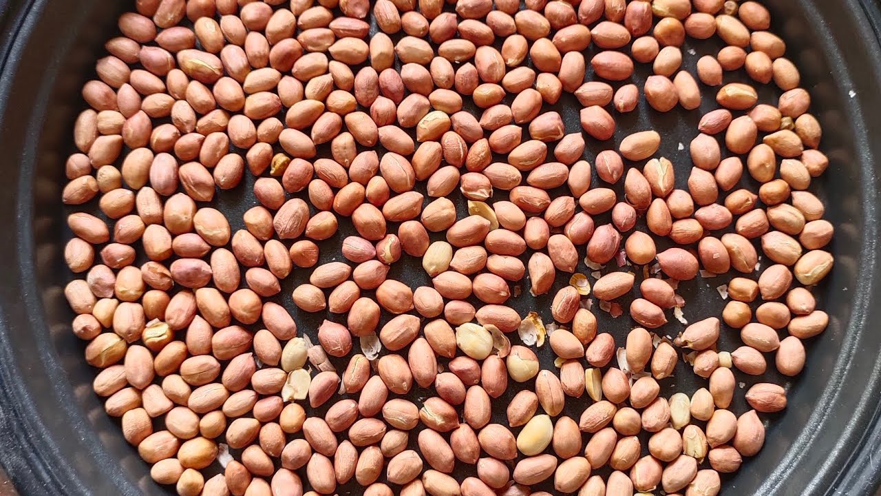 How to roast peanuts in Microwave Oven /Gas and Time Saving Trick/ओव्हन