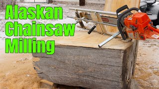 Milling Big Logs with a Portable Chainsaw Mill by Home Built Workshop 697 views 5 months ago 13 minutes, 19 seconds