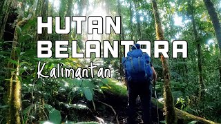 Gunung Bukit Raya Kalimantan #2 - Cerita Pendakian