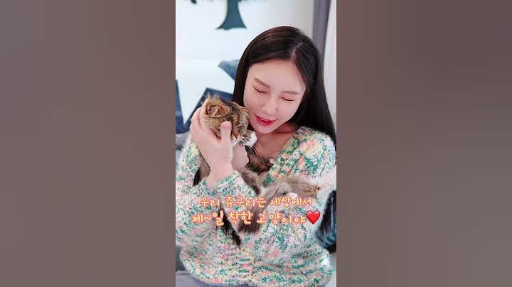 다묘가정 집사들 특😹 #shorts