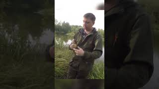 ОКУНЬ ТРОФЕЙНЫЙ #shorts #fishingvideo  #fishing #рыбалка #окунь #спиннинг #трофей #рекомендации