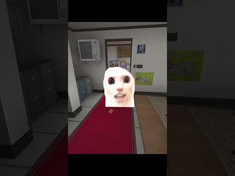 Cat Came Gmod Shorts