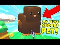 I finally hatched a SECRET PET and DJ DOESN'T KNOW... (Roblox Bubble Gum Simulator)