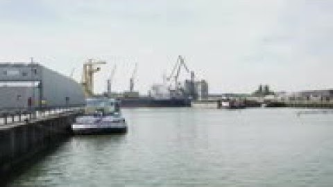 Floating dairy houses cows in the Netherlands