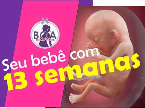 Vídeo: Grávida De 13 Semanas - O Que Acontece Com A Mãe E O Bebê? Tamanho Fetal, Sensações