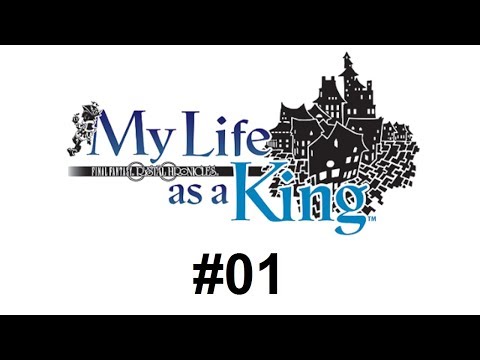 Video: Final Fantasy Crystal Chronicles: My Life As A King • Pagina 2
