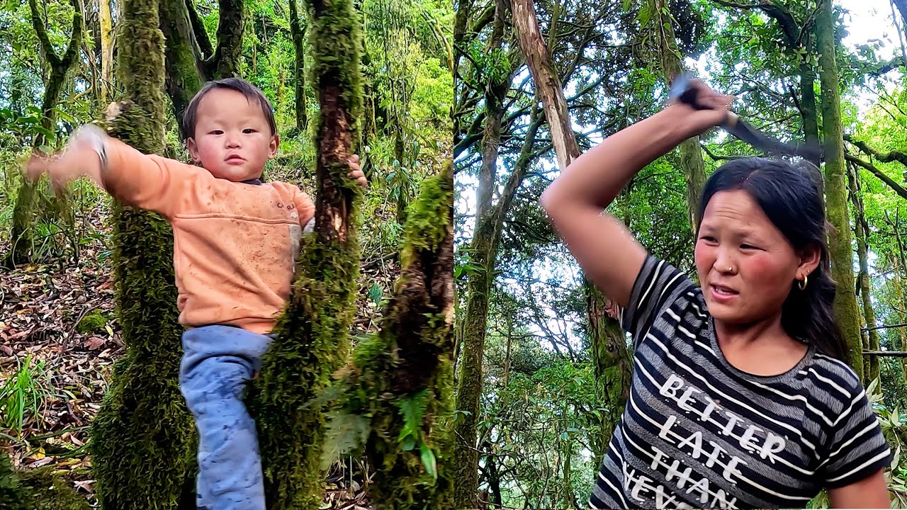 Rita Went Jungle To Take Tree Branch To Make Fence Ritarojan YouTube rita-went-jungle-to-take-tree-branch-to-make-fence-ritarojan-youtube