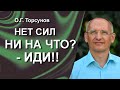 Как ходьба влияет на организм?