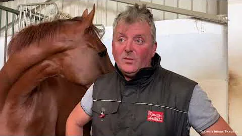 P2P Stable Tour #5 with Mick Goff at his Co.Wexfor...