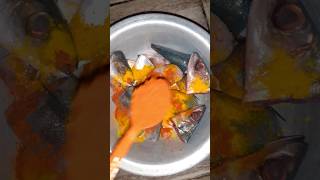 Home Fish Curry Recipe | How To Fish Curry Recipe cooking with boy villagecook