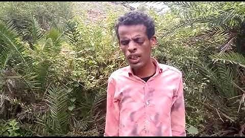 مساء الخير  الجديد مع طلعت الشاب اليمني الكفيف تلاوة القرآن الكريم