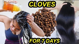 I used CLOVES on my hair for 7 DAYS & MY HAIR GROW LIKE CRAZY! *before & after results*