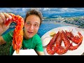 San sebastian food tour  giant scarlet prawns   best tortilla in spain  europe food paradise