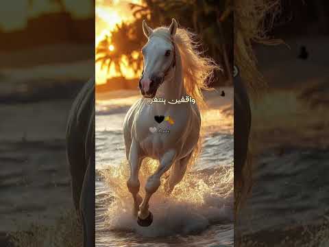 كترت فى بالنا