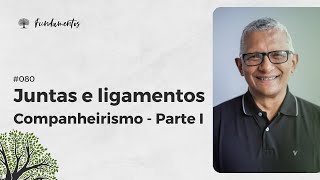 - Juntas E Ligamentos Companheirismo - Parte I - Fundamentos