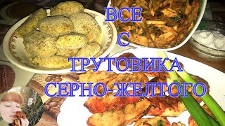 КОТЛЕТЫ ИЗ ТРУТОВИКА СЕРНО-ЖЕЛТОГО, Жаренная грибная курица и все это НА КОСТРЕ!