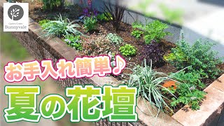 【花壇の作り方】お手入れ簡単な夏の花壇の作り方　#43