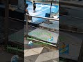 1UTAMA Flow Rider surfing 🏄🌊 wave water