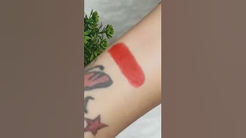 Mac Ruby Woo dupe Alert!!!! #shorts #dupe #lipstick