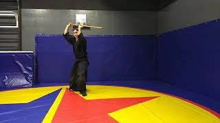 картинка: Дзё ката 31. Евгений Виноградов, 4-й Дан Айкидо.