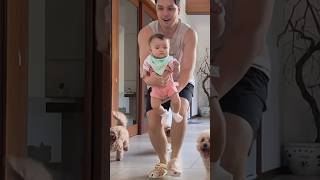 The baby was too stunned to speak #shorts #baby #cats #dogs