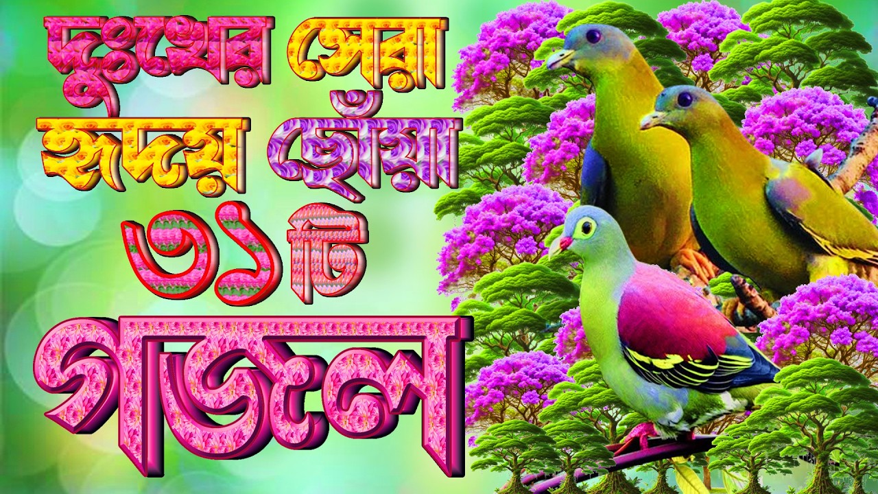 হৃদয় স্পর্শী মরমী ৩০টি গজল, বাছাইকৃত গজল, Selected Gajal, New Gazal, Bangla Islamic Gojol,Ghazal