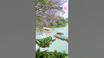 FewaLakeBoat🛶#viralvideo#trending #shortvideo#shortsfeed#youtube#fewalake#shorts#chitwan#nature#love