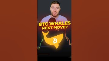 IS Bitcoin Hiding Secrets in its Order Flow? #btc